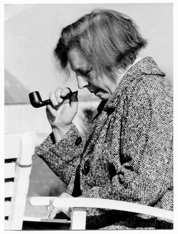 TAG MED SKYTTEN TIL BILLEDTÆPPERNES VERDEN